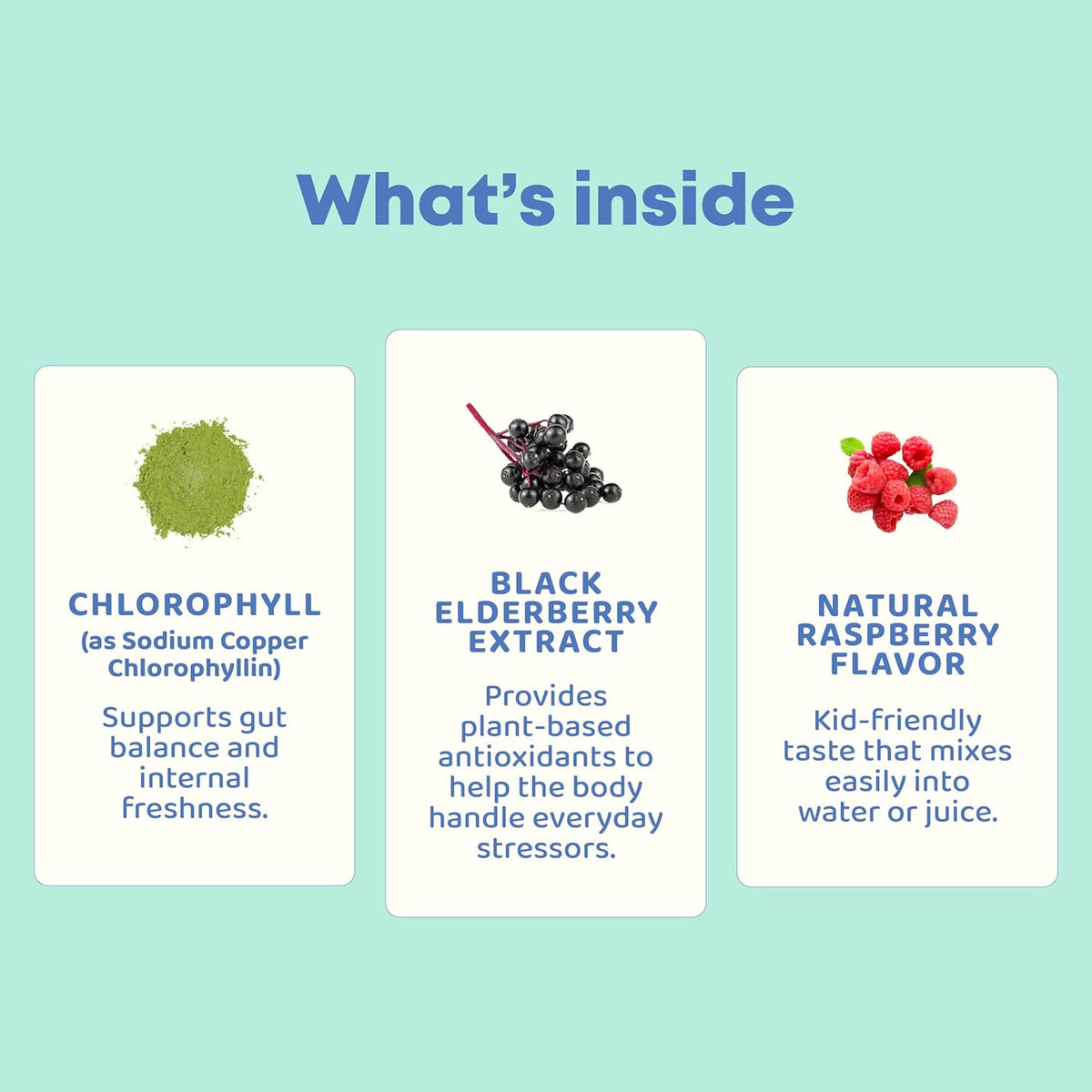 JoySpring Liquid Chlorophyll Drops for Kids | Super Greens for Kids Infused with Elderberry & Chlorophyll for Bad Breath | Sugar Free Body Deodorizing Supplement (1 fl oz, Berry Flavor, 30 Servings)